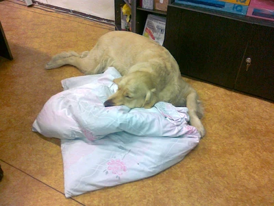 Ben ve staré kanceláři