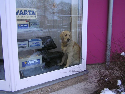 Ben vyhlíží zákazníky