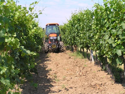 Kubota - vejde se do řádku