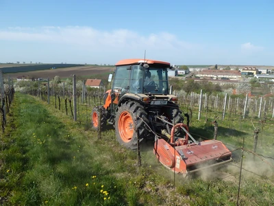 Kuota na svém místě